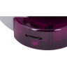 Микроскоп LEVENHUK LabZZ M101 Аметист 69033